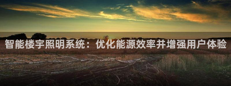 智能楼宇照明系统:优化能源效率并增强用户体验