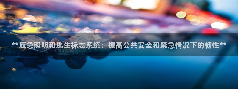 **应急照明和逃生标志系统:提高公共安全和紧急情况下的韧性**