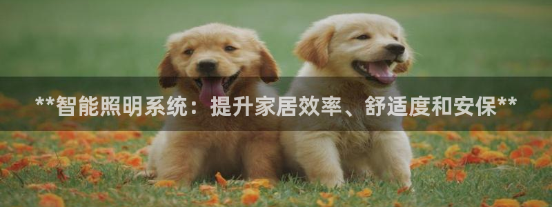 **智能照明系统:提升家居效率、舒适度和安保**
