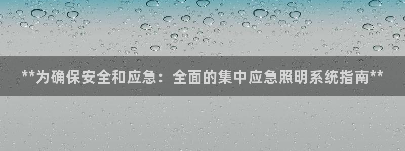 **为确保安全和应急:全面的集中应急照明系统指南**