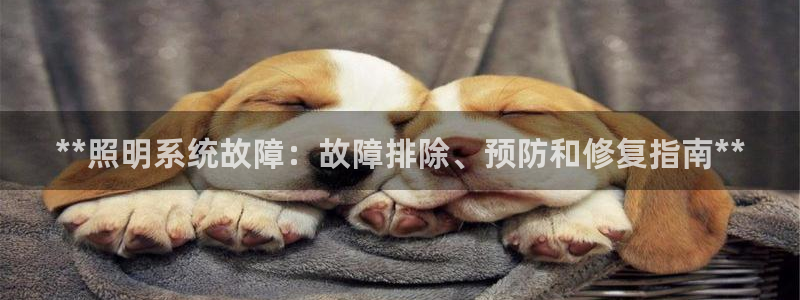 **照明系统故障:故障排除、预防和修复指南**
