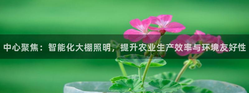 中心聚焦:智能化大棚照明,提升农业生产效率与环境友好性