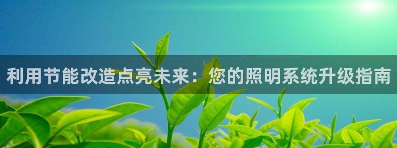 利用节能改造点亮未来：您的照明系统升级指