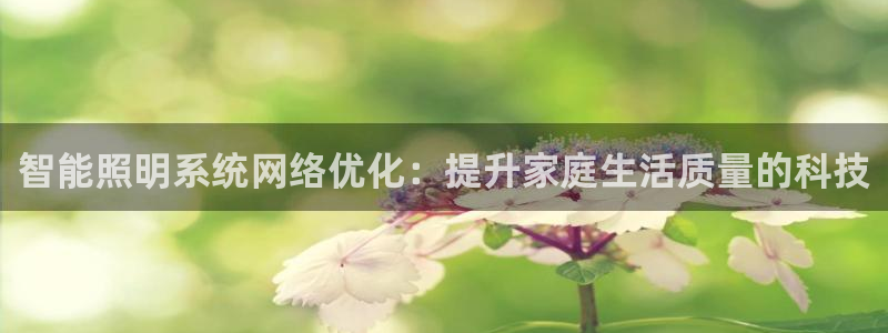 智能照明系统网络优化:提升家庭生活质量的科技
