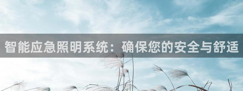 智能应急照明系统：确保您的安全与舒适