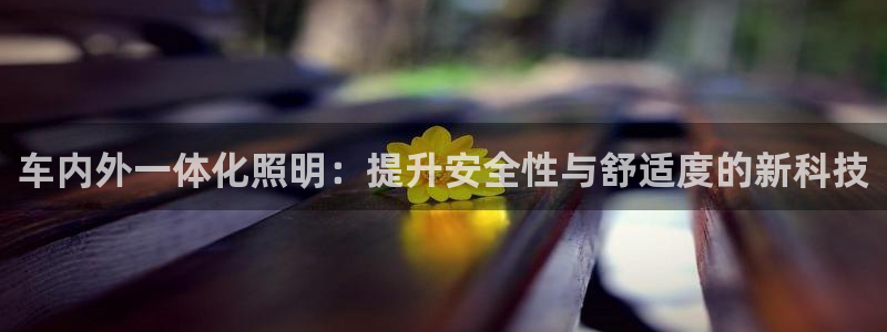 车内外一体化照明：提升安全性与舒适度的新科技