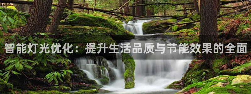 智能灯光优化：提升生活品质与节能效果的全