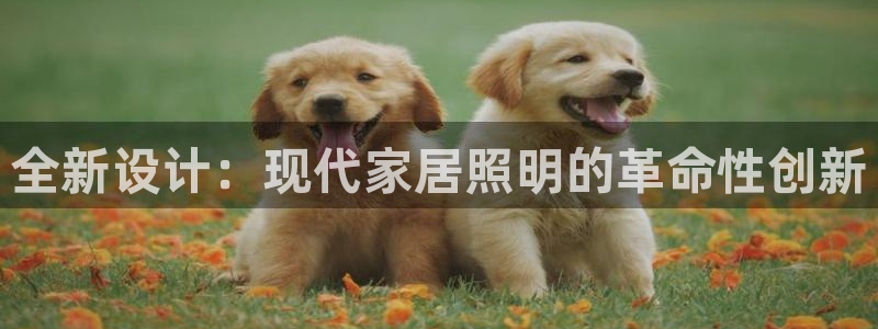 全新设计:现代家居照明的革命性创新