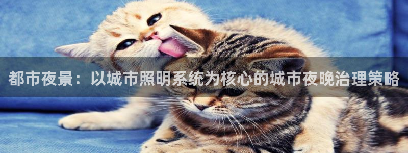 都市夜景：以城市照明系统为核心的城市夜晚治理策略