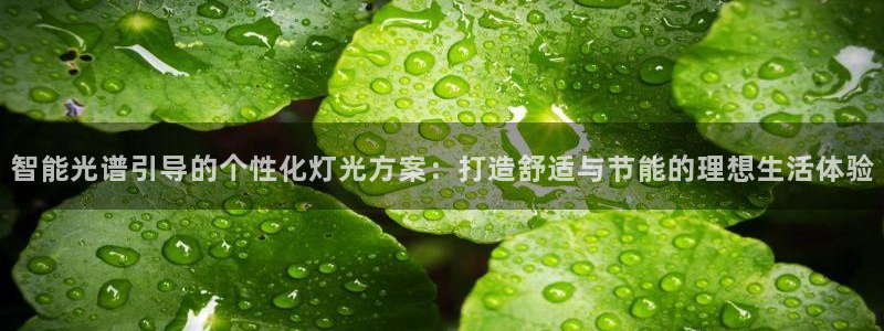 智能光谱引导的个性化灯光方案：打造舒适与节能的理想生活体验