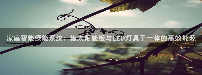 家庭智能绿能系统：集太阳能板与LED灯具