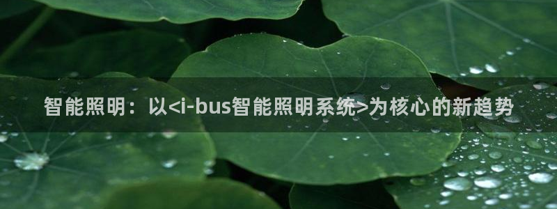 智能照明:以<i-bus智能照明系统>为
