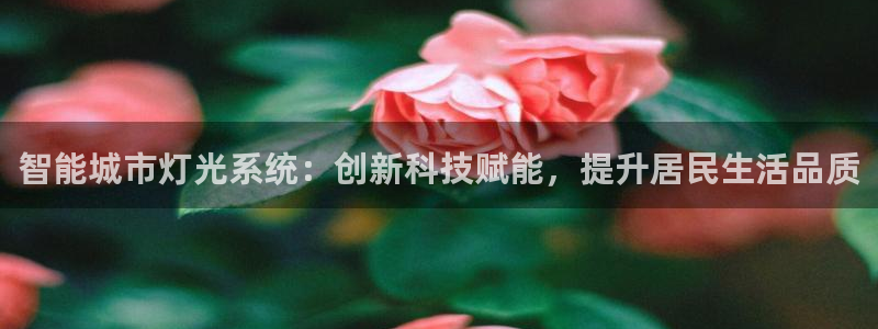 智能城市灯光系统：创新科技赋能，提升居民