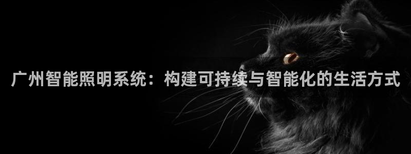 广州智能照明系统：构建可持续与智能化的生活方式