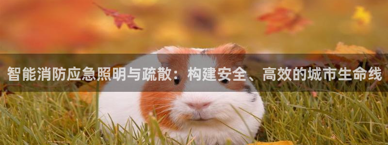 智能消防应急照明与疏散：构建安全、高效的城市生命线