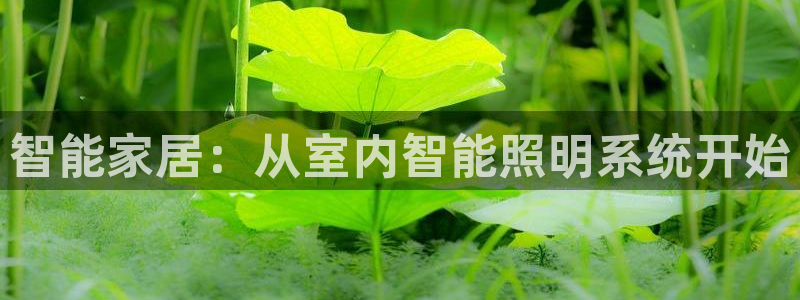 智能家居：从室内智能照明系统开始