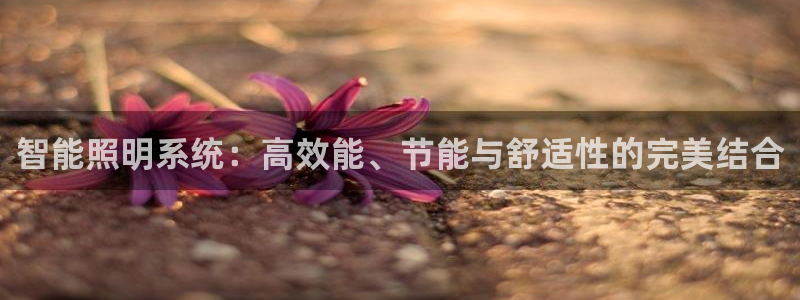 智能照明系统：高效能、节能与舒适性的完美结合