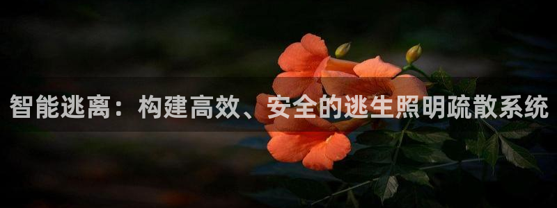 智能逃离:构建高效、安全的逃生照明疏散系统